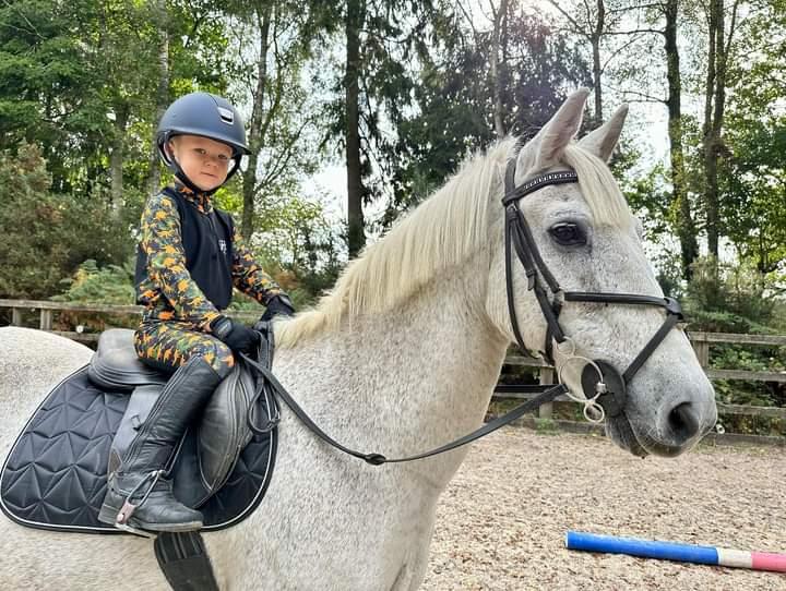 Camo Dino - Jodhpurs - Kids - Image 7