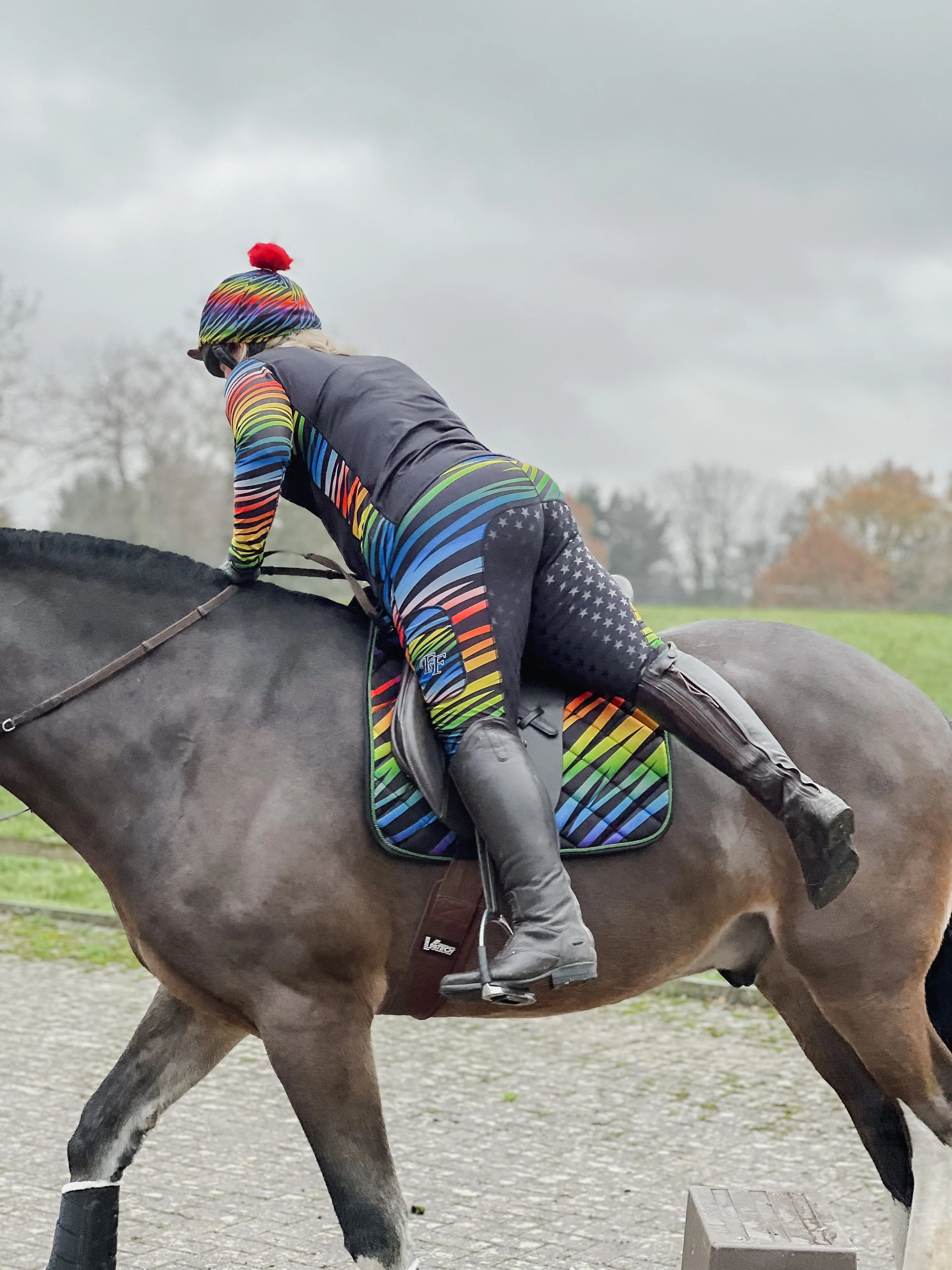 Rainbow Zebra - Jodhpurs - Adult - Image 3